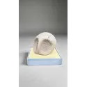 Pokémon Fossil Museum Series Kabutops X Kabuto Miumiu Studio