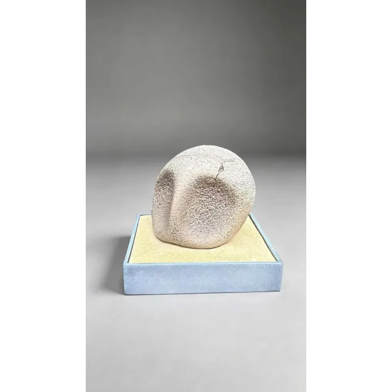 Pokémon Fossil Museum Series Kabutops X Kabuto Miumiu Studio