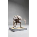 Pokémon Fossil Museum Series Kabutops X Kabuto Miumiu Studio