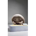 Pokémon Fossil Museum Series Kabutops X Kabuto Miumiu Studio