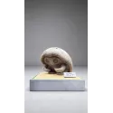 Pokémon Fossil Museum Series Kabutops X Kabuto Miumiu Studio