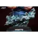Dragon Ball Z Vegetto Bust FER Studio