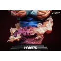 Dragon Ball Z Vegetto Bust FER Studio