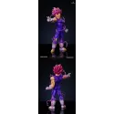 Dragon Ball Ultra Ego Vegeta & Majin Vegeta - PowerClub Studio