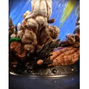 Dragon Ball Spirit Bomb Triumphant Goku vs Kid Buu KD Collectibles