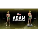 Record of Ragnarok Adam Final Moment Studio