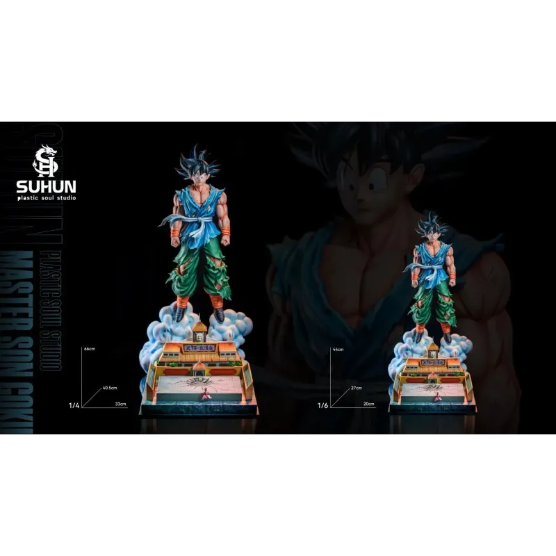 Dragon Ball Z Master Goku Plastic Soul Studio