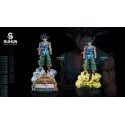 Dragon Ball Z Master Goku Plastic Soul Studio