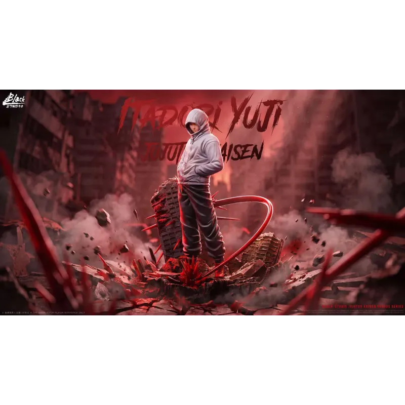 Jujutsu Kaisen Yuji Itadori BLACK Studio