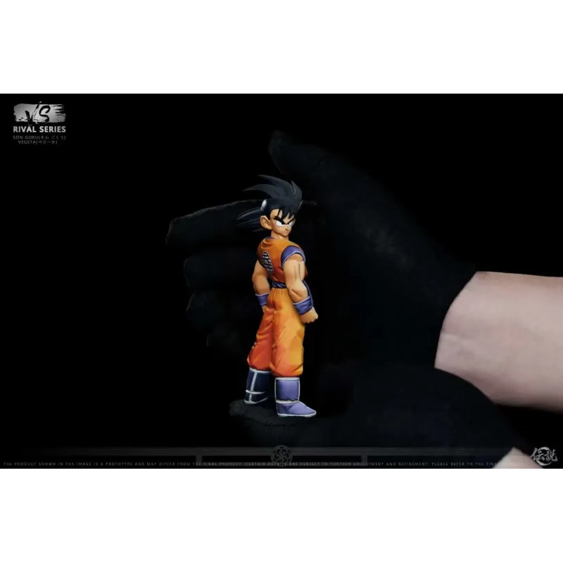 Dragon Ball Z Goku vs Vegeta VS Studio