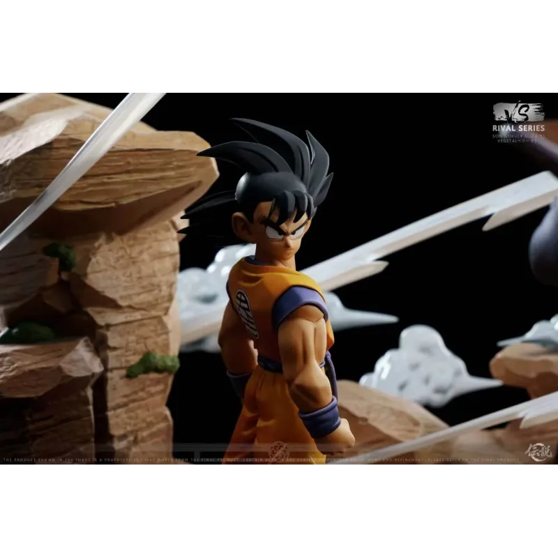 Dragon Ball Z Goku vs Vegeta VS Studio