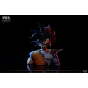 Dragon Ball Z Goku vs Vegeta VS Studio