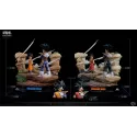 Dragon Ball Z Goku vs Vegeta VS Studio