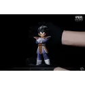 Dragon Ball Z Goku vs Vegeta VS Studio