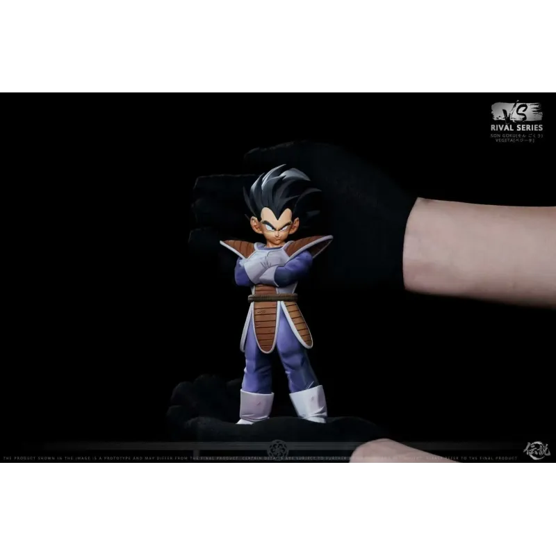 Dragon Ball Z Goku vs Vegeta VS Studio