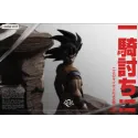 Dragon Ball Z Goku vs Vegeta VS Studio