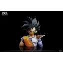 Dragon Ball Z Goku vs Vegeta VS Studio