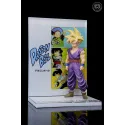 Dragon Ball Z Son Gohan Winter Jujube Studio
