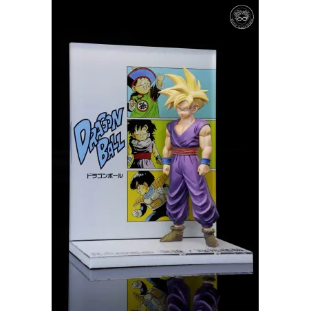 Dragon Ball Z Son Gohan Winter Jujube Studio