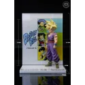 Dragon Ball Z Son Gohan Winter Jujube Studio