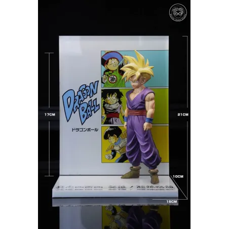 Dragon Ball Z Son Gohan Winter Jujube Studio