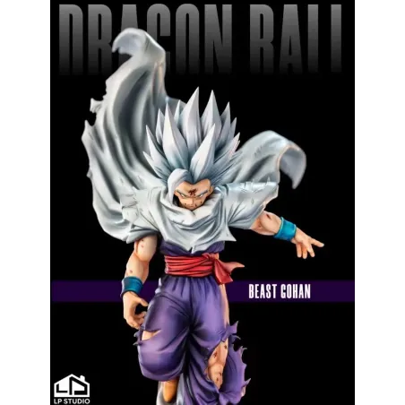 Dragon Ball Z Gohan LP Studio