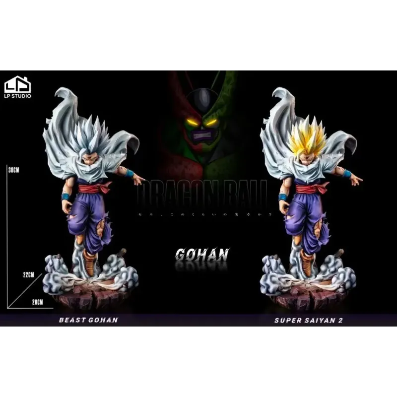 Dragon Ball Z Gohan LP Studio