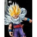 Dragon Ball Z Gohan LP Studio