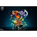 Dragon Ball Z Goku vs Frieza TX Studio