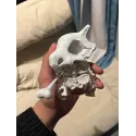 Pokemon Cubone Kojiro Studio