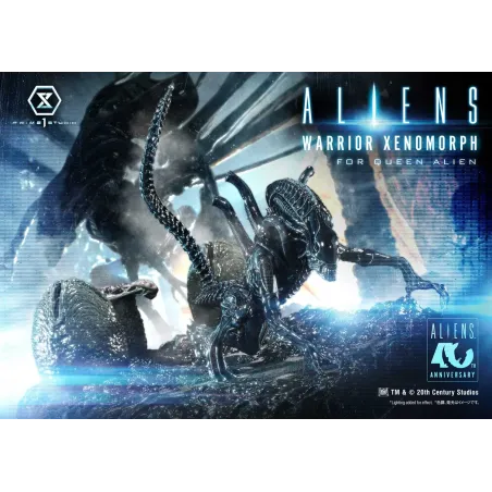 Aliens Warrior Xenomorph Prime 1 Studio