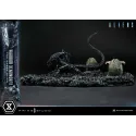 Aliens Warrior Xenomorph Prime 1 Studio