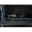 Aliens Warrior Xenomorph Prime 1 Studio