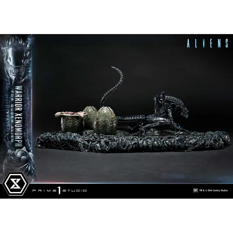 Aliens Warrior Xenomorph Prime 1 Studio