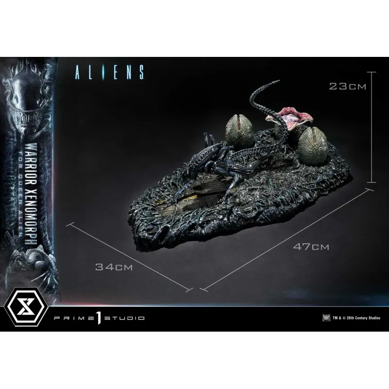 Aliens Warrior Xenomorph Prime 1 Studio