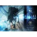 Aliens Queen Alien Bonus Ver. Prime 1 Studio