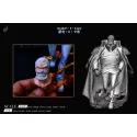 One Piece Monkey D. Garp Feng Huang She Studio