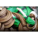 Rozen Maiden Jade Stern FANART Studio