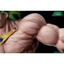 Dragon Ball Z Broly Legendary SSJ DU Studio