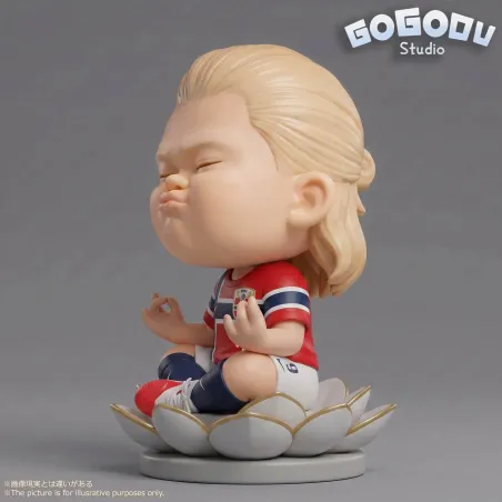 Football Player Erling Haaland Gogomu Studio
