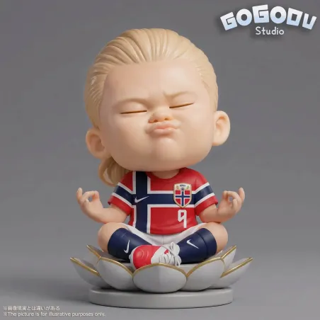 Football Player Erling Haaland Gogomu Studio