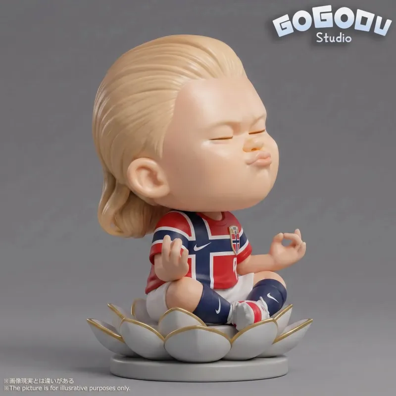 Football Player Erling Haaland Gogomu Studio