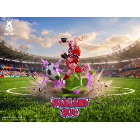 Dragon Ball Z Buu × Haaland SkyRealm Studio