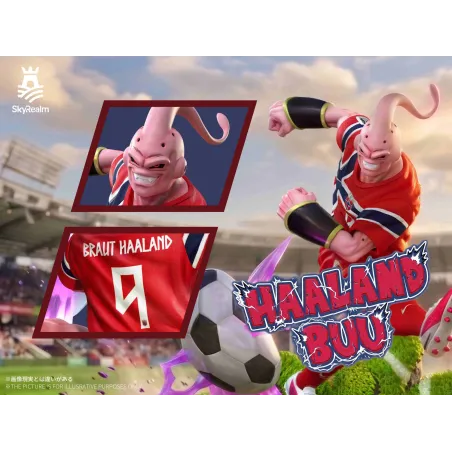 Dragon Ball Z Buu × Haaland SkyRealm Studio