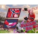Dragon Ball Z Buu × Haaland SkyRealm Studio