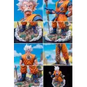 Dragon Ball Goku Old RanYao Studio