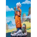 Dragon Ball Goku Old RanYao Studio