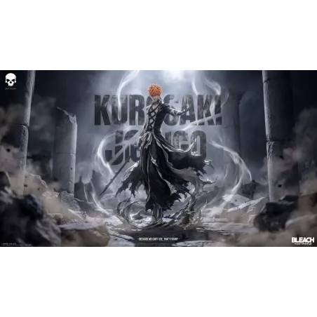 Bleach Ichigo Kurosaki KOI Studio
