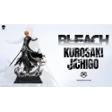 Bleach Ichigo Kurosaki KOI Studio