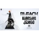 Bleach Ichigo Kurosaki KOI Studio